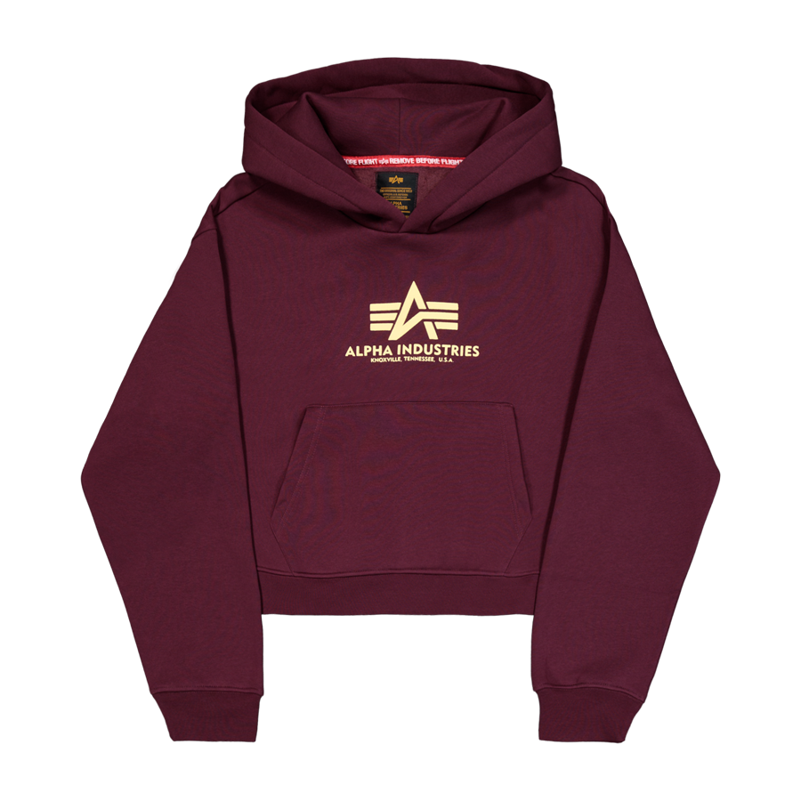 Basic Big Logo Puff Print Hoodie Women - dark cherry