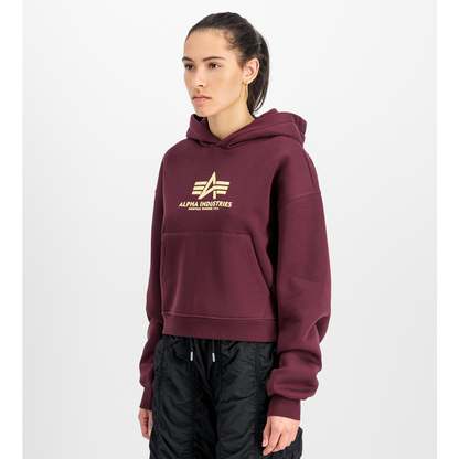 Basic Big Logo Puff Print Hoodie Women - dark cherry