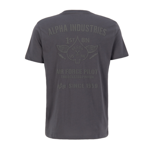 Air Force T - vintage grey