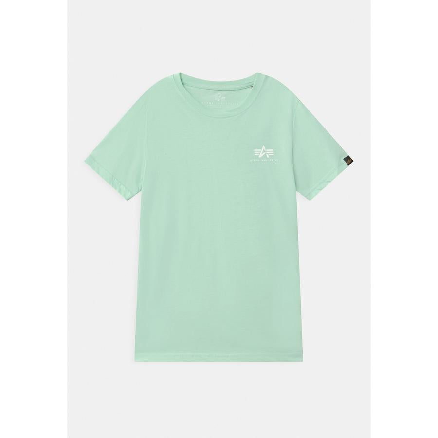 Basic T Small Logo - mint